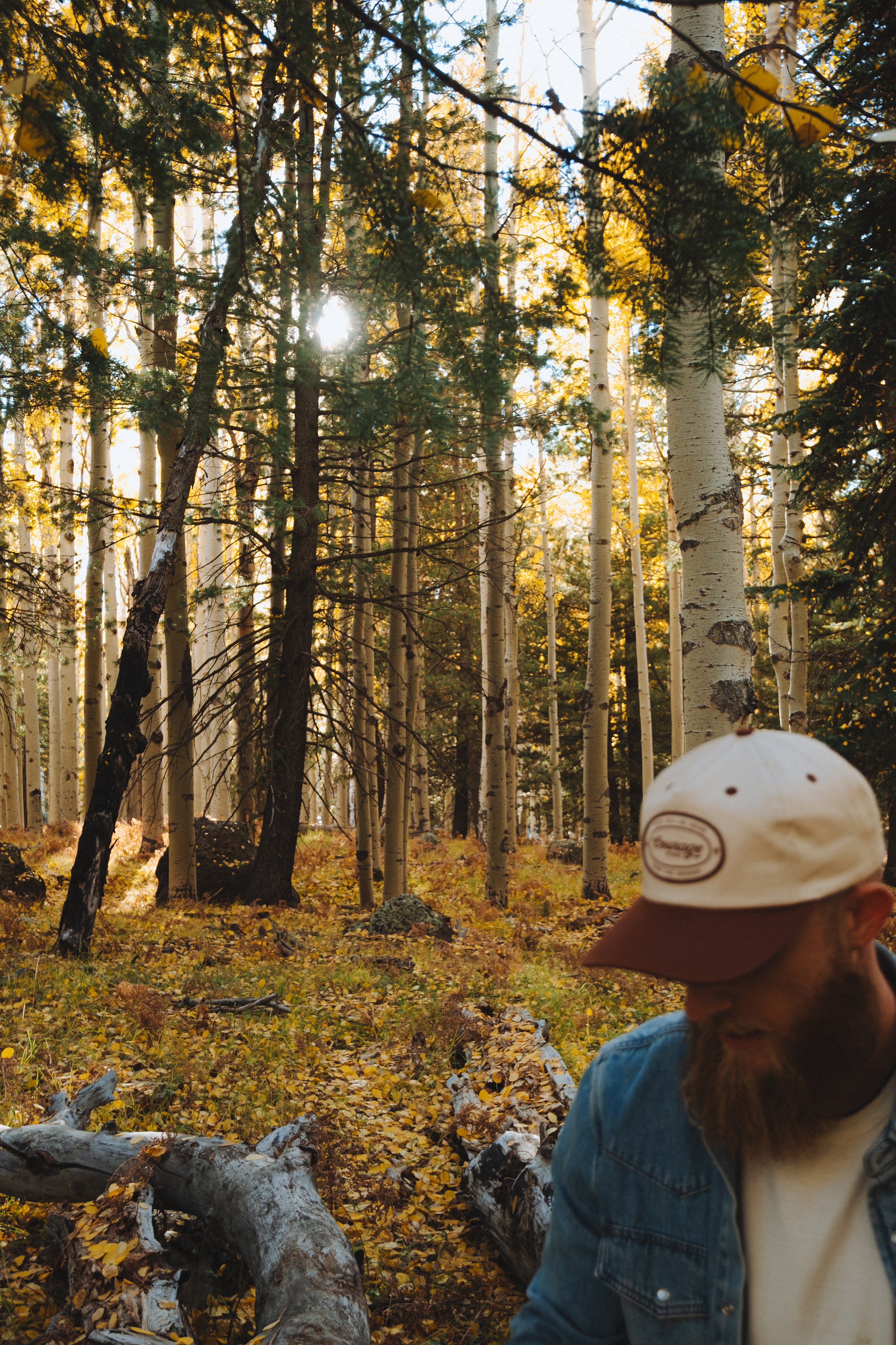 Person wearing a cap and denim jacket in a forest with sunlight filtering through the trees